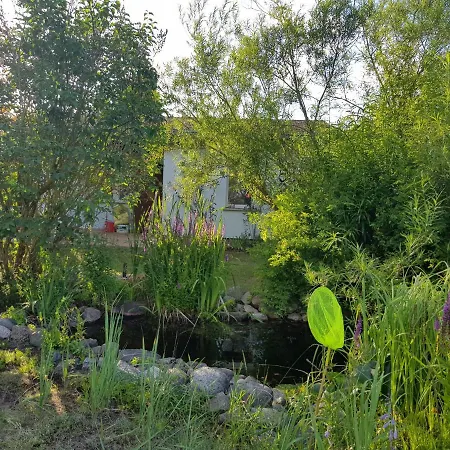Strandliebe Am Stettiner Haff Grambin