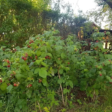 Strandliebe Am Stettiner Haff Σπίτι διακοπών
