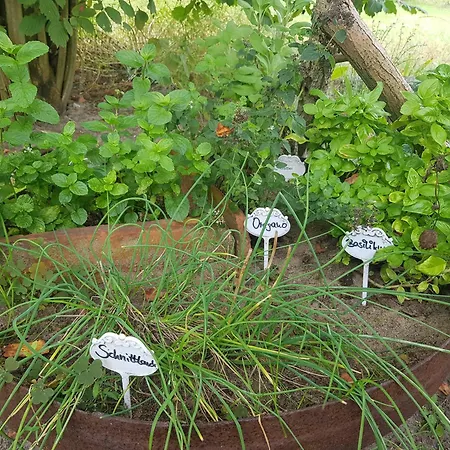 Strandliebe Am Stettiner Haff Vakantiehuis